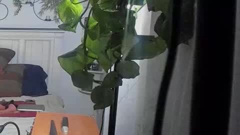 freespirt2 online show from February 16, 2026, 3:02 am