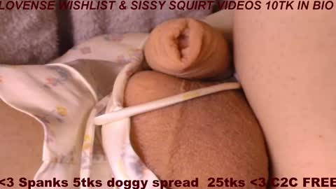 Meadow online show from March 1, 2026, 9:33 am