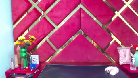 Snapshot of freyja_naugthy chatting on February 20, 2025, 12:25 pm freyja_naugthy online show from February 20, 2025, 12:25 pm