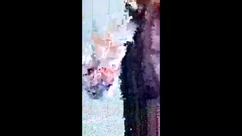 Snapshot of friendshipplus chatting on February 3, 2026, 8:08 am friendshipplus online show from February 3, 2026, 8:08 am