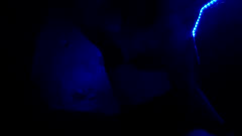 fu338208 online show from October 26, 2025, 6:52 am