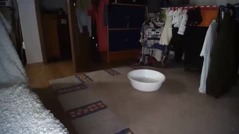 fuckinghornybitchcz online show from February 2, 2026, 12:09 am