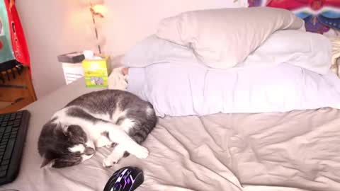 fuckmypussyplz1 online show from February 1, 2025, 5:37 pm