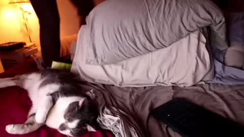 fuckmypussyplz1 online show from February 3, 2025, 12:47 am