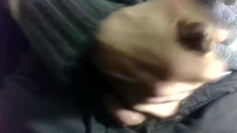 tugatito online show from January 2, 2025, 8:24 pm