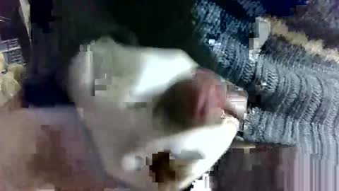 tugatito online show from February 14, 2025, 9:13 am