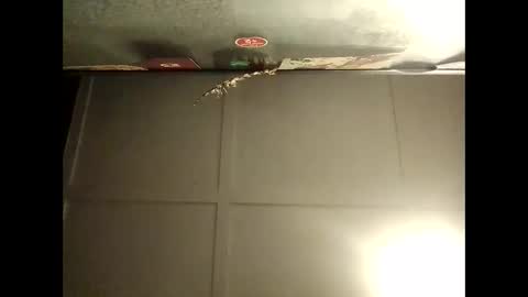 Warwick online show from October 8, 2025, 8:12 am