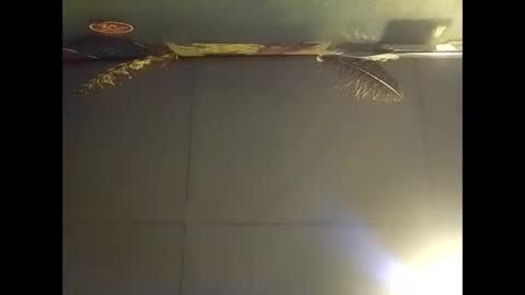 Warwick online show from November 2, 2025, 7:44 am