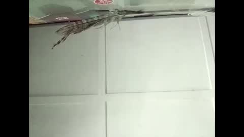 Warwick online show from November 12, 2025, 2:34 am