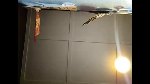 Warwick online show from November 23, 2025, 10:59 am