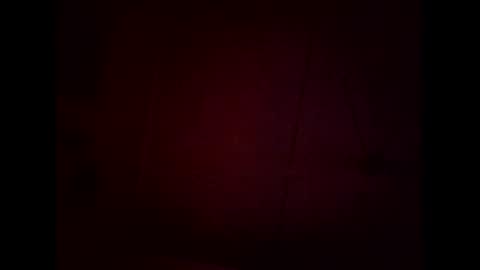 Warwick online show from February 8, 2026, 11:35 am