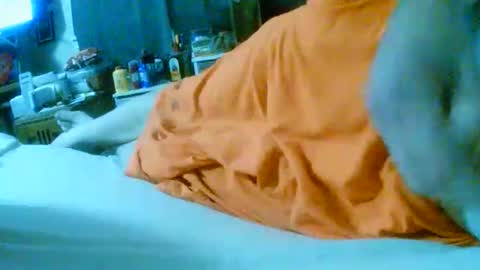 fultonstreet196860 online show from November 24, 2025, 2:22 am