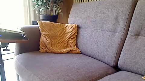 fun4couples online show from June 19, 2026, 9:46 am