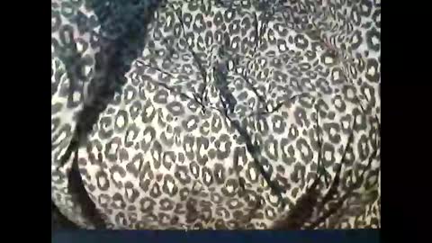 Snapshot of funcyman3 chatting on April 15, 2026, 4:03 pm funcyman3 online show from April 15, 2026, 4:03 pm