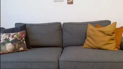 Snapshot of funservice chatting on December 17, 2024, 9:17 am funservice online show from December 17, 2024, 9:17 am