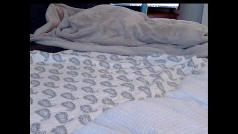 Funtimz16 online show from February 13, 2025, 8:34 pm