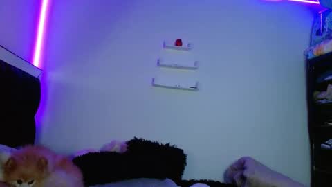 Snapshot of fysste_ chatting on March 11, 2025, 12:00 am Victoria online show from March 11, 2025, 12:00 am