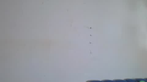 Snapshot of gael_david chatting on July 12, 2026, 4:36 am Gael online show from July 12, 2026, 4:36 am