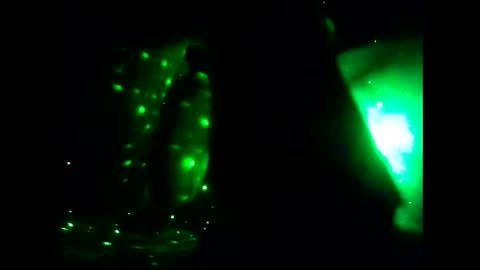 Ms. Fit online show from December 15, 2024, 5:34 am