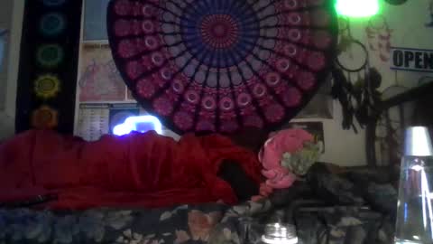 Gardenia online show from February 4, 2026, 7:36 am