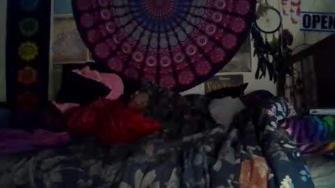 Gardenia online show from February 15, 2026, 8:46 am