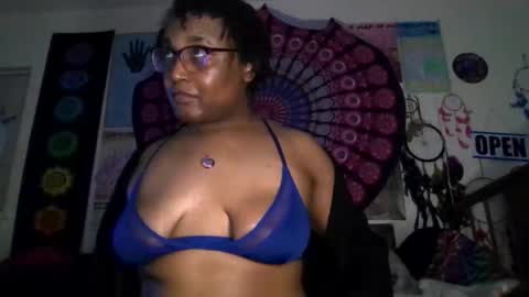 Gardenia online show from March 11, 2026, 8:53 am