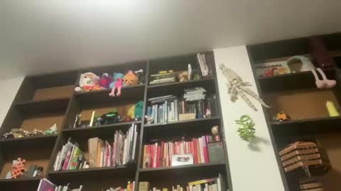 Gargoyle online show from May 29, 2026, 3:48 am