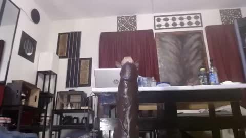 Snapshot of gatewaylaptop2019 chatting on April 12, 2026, 6:07 am gatewaylaptop2019 online show from April 12, 2026, 6:07 am