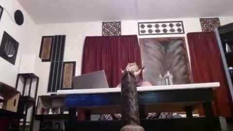 Snapshot of gatewaylaptop2019 chatting on April 26, 2026, 7:39 am gatewaylaptop2019 online show from April 26, 2026, 7:39 am