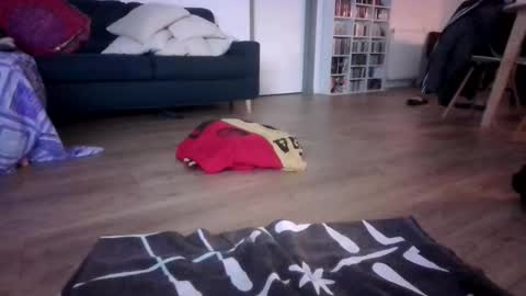 Snapshot of gaypuppychaste chatting on December 23, 2025, 4:32 am gaypuppychaste online show from December 23, 2025, 4:32 am