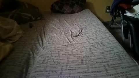 Snapshot of gazdadoka chatting on February 14, 2025, 2:23 pm gazdadjoka online show from February 14, 2025, 2:23 pm