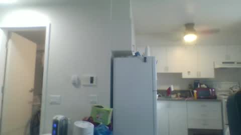 Snapshot of geekgamer41 chatting on October 13, 2025, 7:25 pm geekgamer41 online show from October 13, 2025, 7:25 pm