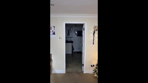 gemmaquinzel online show from December 5, 2025, 4:14 pm