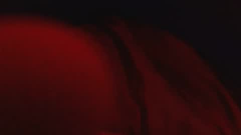 genitalwars online show from March 4, 2026, 2:17 am