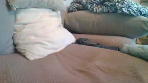 Snapshot of getsome11 chatting on March 8, 2026, 12:53 pm Getsome11 online show from March 8, 2026, 12:53 pm