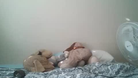 ghansberger2 online show from March 11, 2026, 11:44 pm