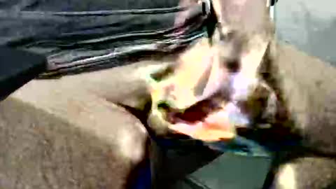 Snapshot of ghost1805 chatting on October 14, 2025, 3:51 am ghost1805 online show from October 14, 2025, 3:51 am