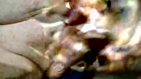 Snapshot of ghost1805 chatting on October 29, 2025, 9:16 pm ghost1805 online show from October 29, 2025, 9:16 pm