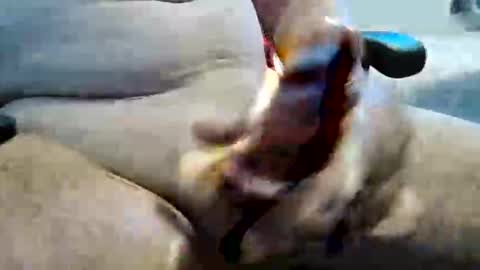 Snapshot of ghost1805 chatting on November 10, 2025, 11:26 pm ghost1805 online show from November 10, 2025, 11:26 pm