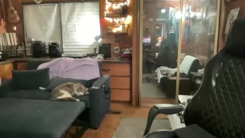 Snapshot of ghostboygbc chatting on March 17, 2026, 3:33 am ghostboygbc online show from March 17, 2026, 3:33 am