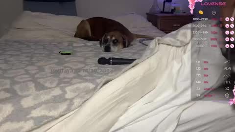 gigi online show from December 29, 2024, 7:53 pm