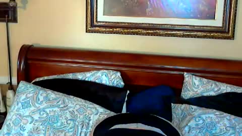 Ginny Rose online show from May 15, 2026, 9:33 pm