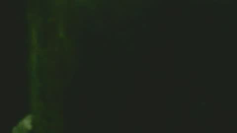 GuidoGiovan online show from November 24, 2025, 7:30 am