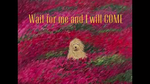 Kristin  online show from May 11, 2026, 6:16 pm