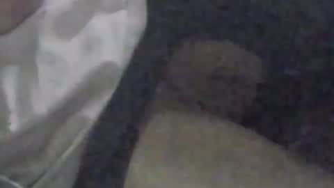 Snapshot of girlscallme666 chatting on September 9, 2025, 3:33 pm lovegirlscallme online show from September 9, 2025, 3:33 pm