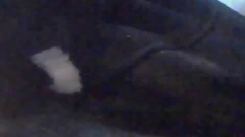 Snapshot of girlscallme666 chatting on October 10, 2025, 3:44 pm lovegirlscallme online show from October 10, 2025, 3:44 pm