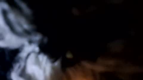 glizzy4u online show from December 19, 2025, 5:31 pm