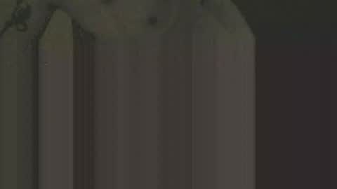 Snapshot of gnz310388 chatting on February 12, 2026, 1:11 am gnz310388 online show from February 12, 2026, 1:11 am