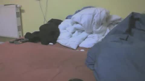 Snapshot of gnz310388 chatting on March 4, 2026, 7:20 pm gnz310388 online show from March 4, 2026, 7:20 pm