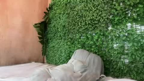 goddess_jennyxx online show from March 29, 2026, 11:32 am